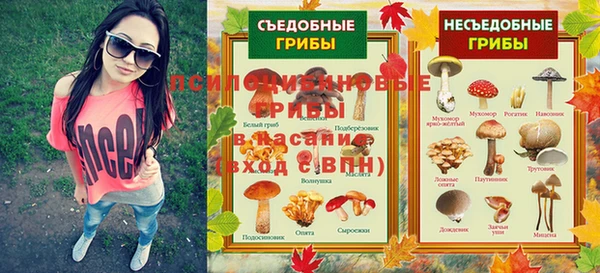 шишки Заволжск