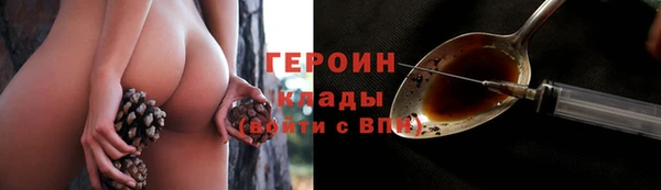 шишки Заволжск