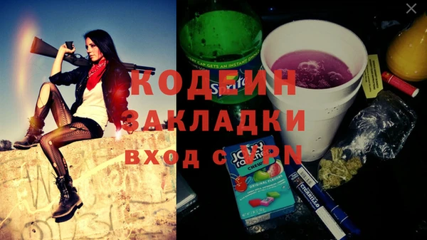 шишки Заволжск