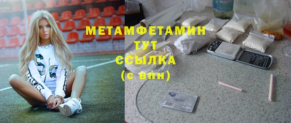 шишки Заволжск