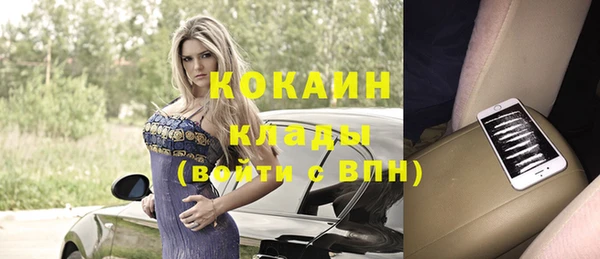 шишки Заволжск