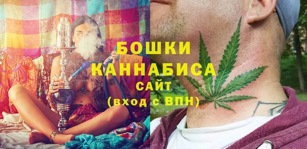 первитин Заводоуковск